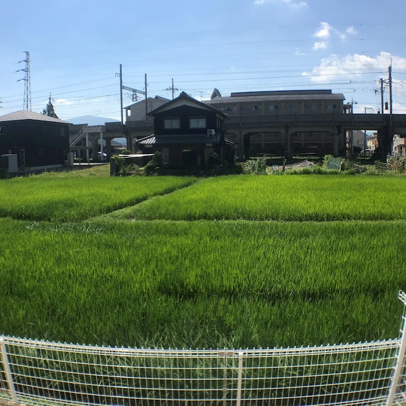 アドウェル壱番館 4.6帖洋室からの眺め