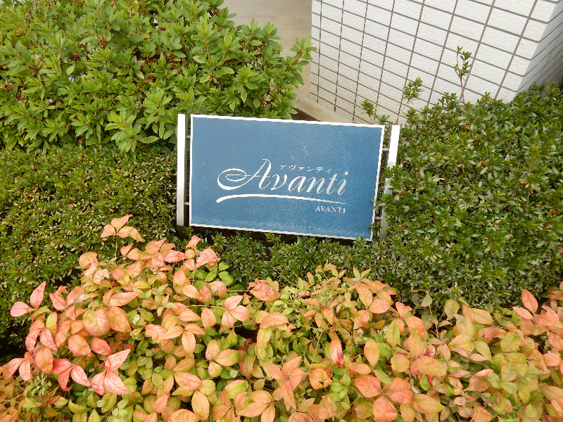 AVANTI(アヴァンティ) 銘板