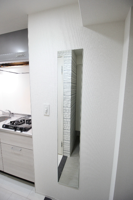 セイワパレス梅田茶屋町 現地写真（玄関）