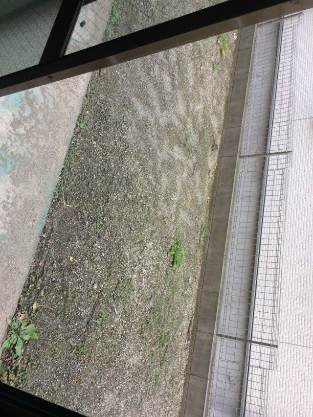 メゾン・アキモト 同仕様写真（キッチン）