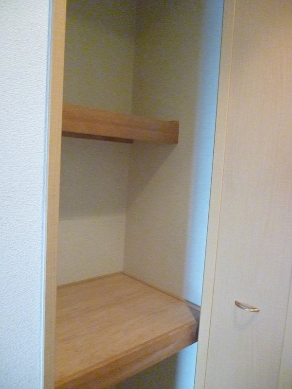 カムフォーラⅡ 廊下にも収納あり