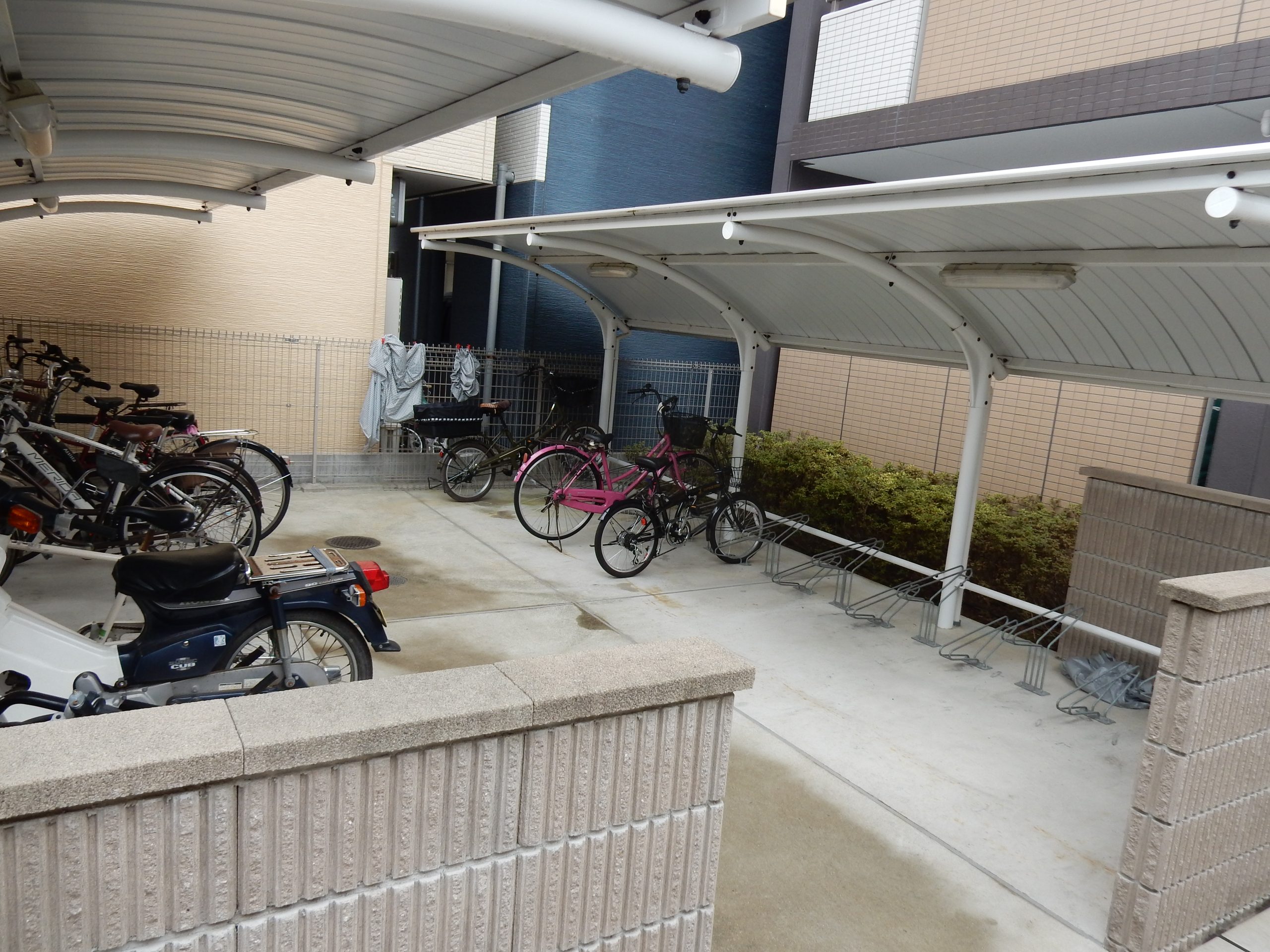 シャルマン藤田 駐輪場