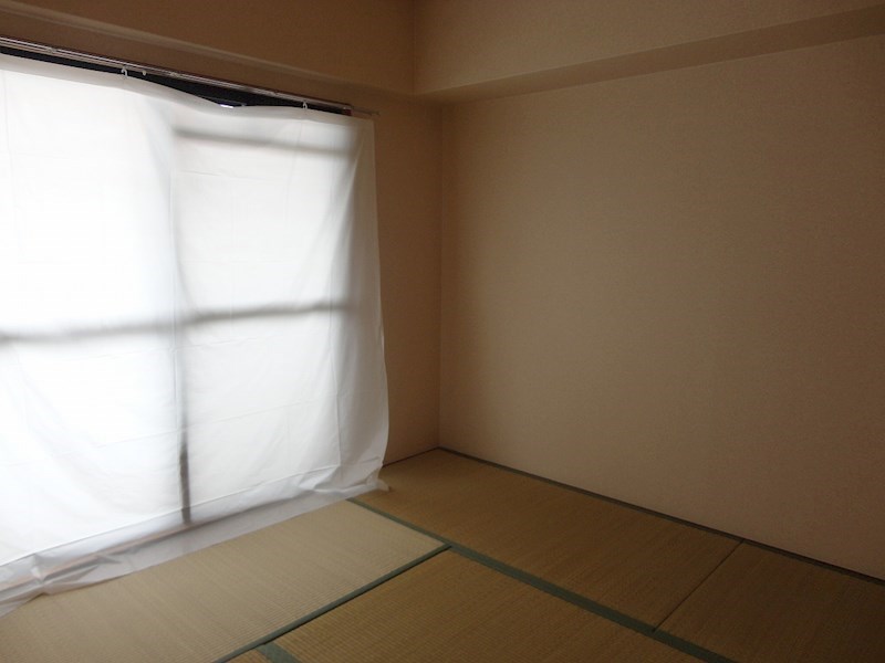 ラフィーネ 畳表替え済