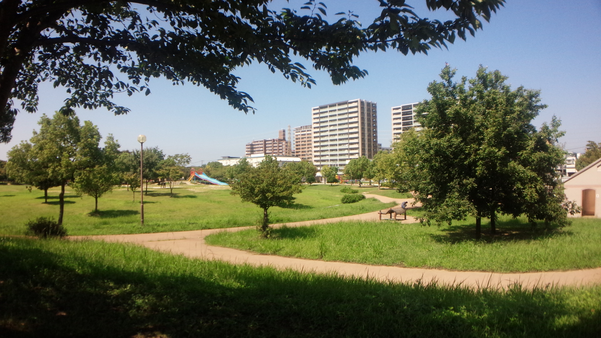 ラ　グリシーヌ 公園：箱崎公園　1191m　近隣
