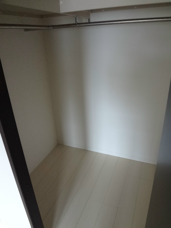 ルーセントピュアⅡ クローゼット