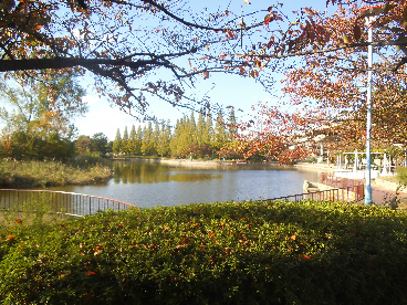 ラ フォート城北公園 公園：城北公園　267m