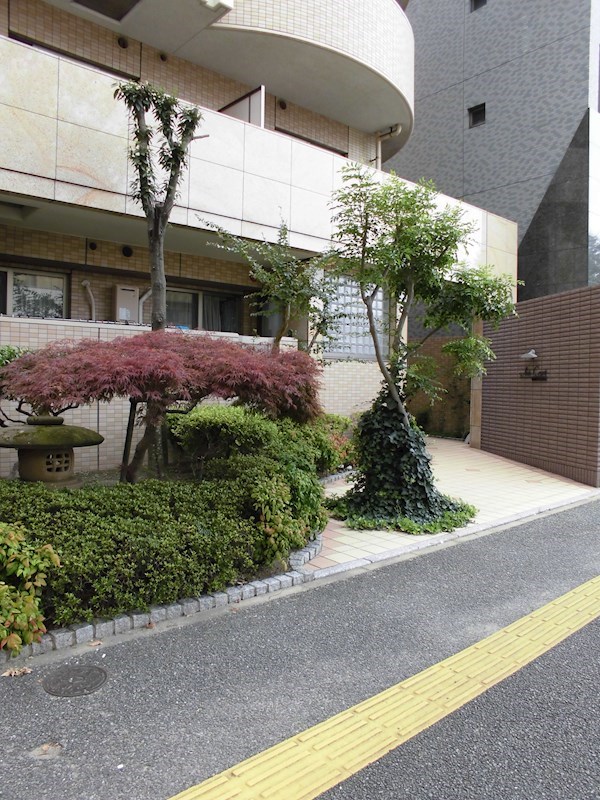 アークコート アプローチ