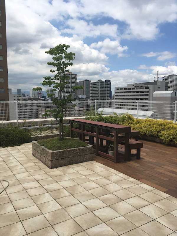 BROU上町台 屋上
