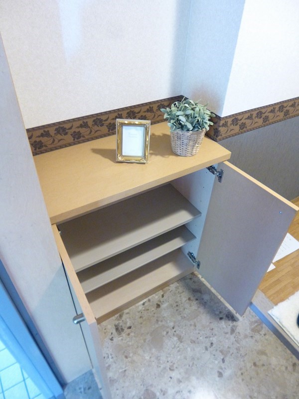 タウンコート咲佳映 現地写真（玄関）