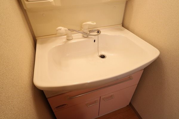 サントゥールくいな橋 洗面所