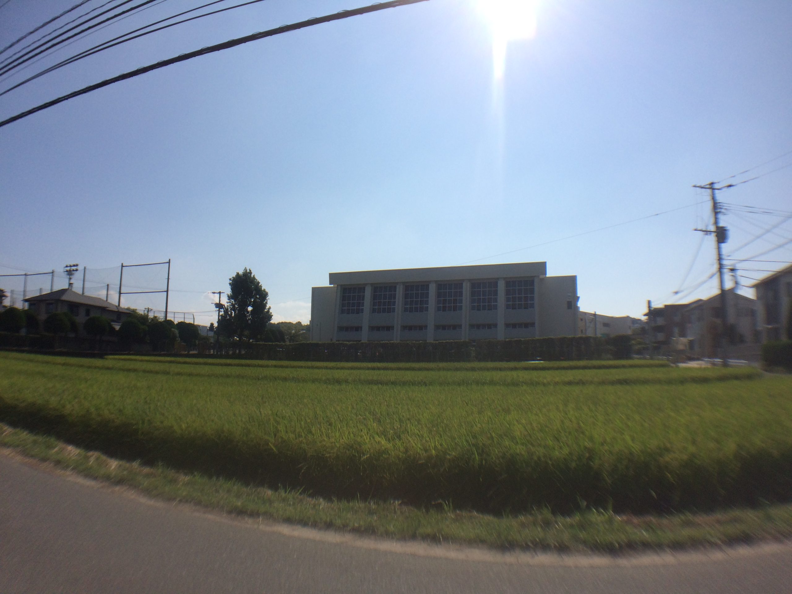 ハピネス南里 中学校：志免町立志免中学校　904m