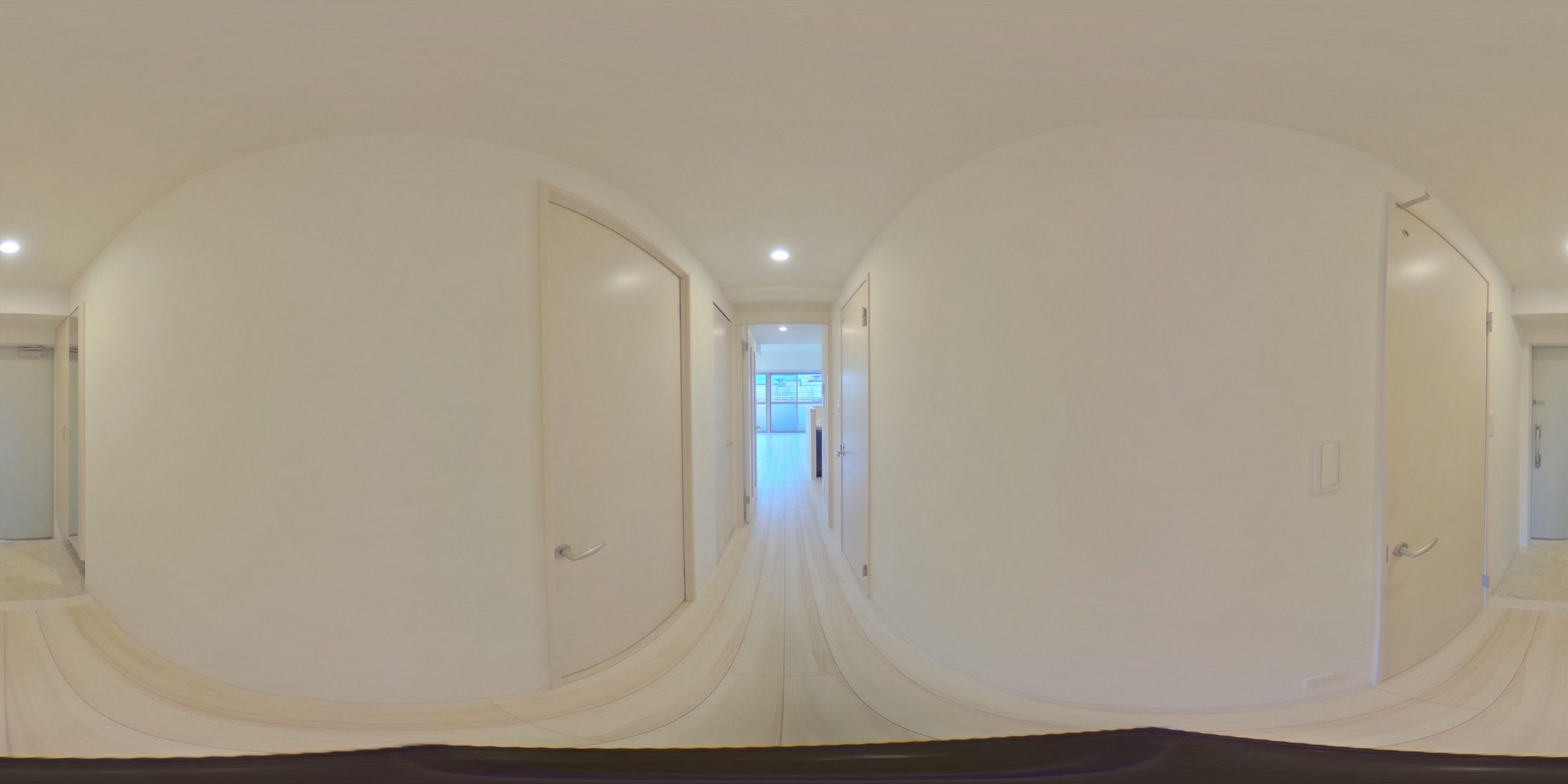 現地写真