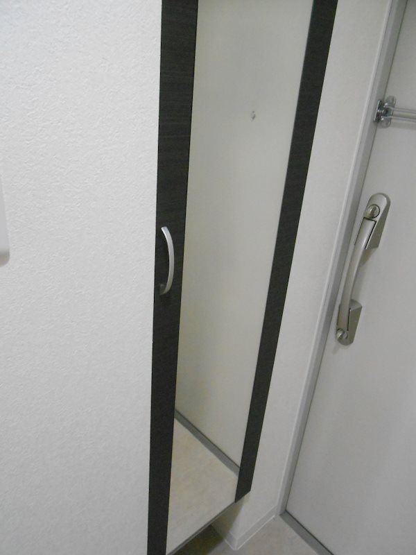 アイボリー 現地写真