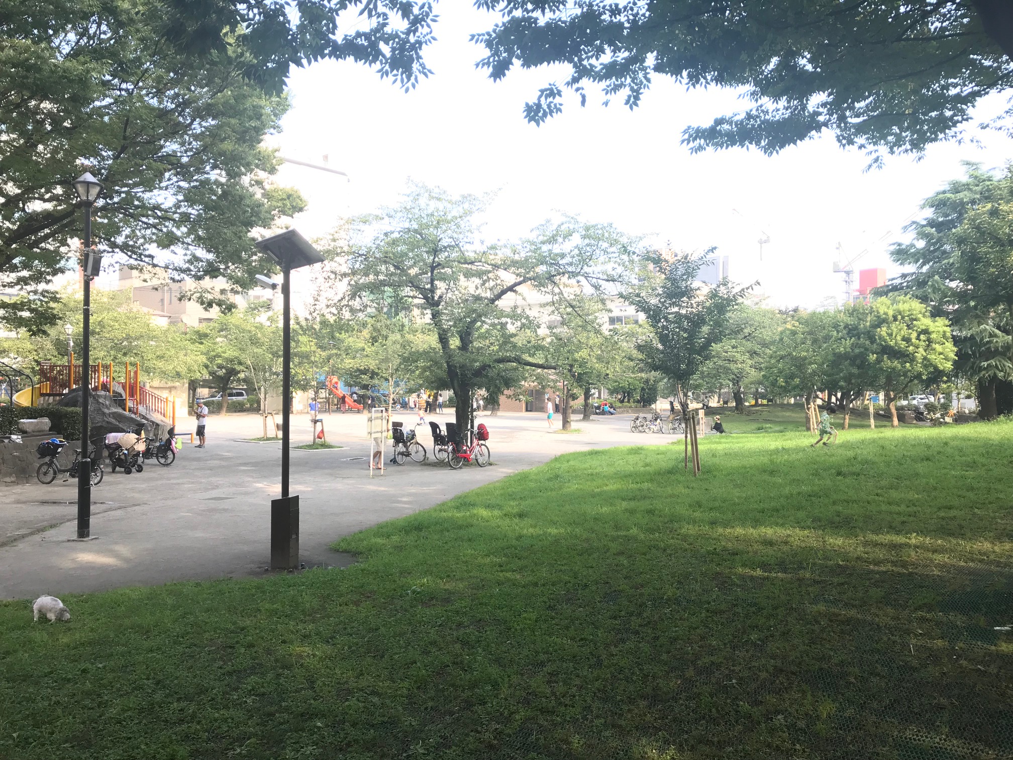 Confort Residence Nippori（コンフォートレジデンスニッポリ） 公園：日暮里南公園　147m