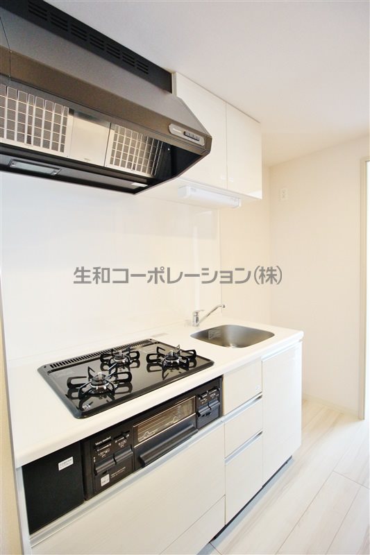 カサエストレヤ 同仕様写真（外観）