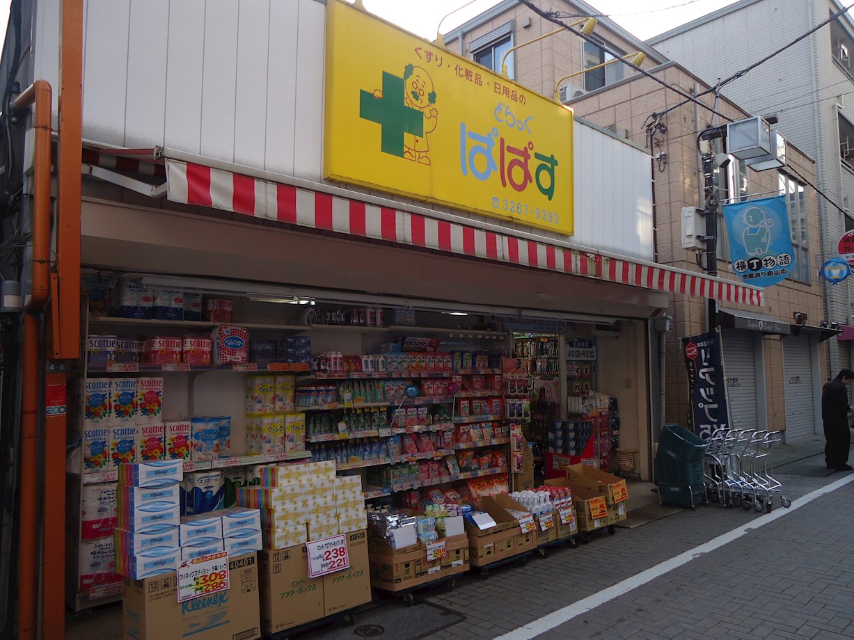 ソレーユ神楽坂 ドラッグストア：どらっぐぱぱす 江戸川橋店　1039m