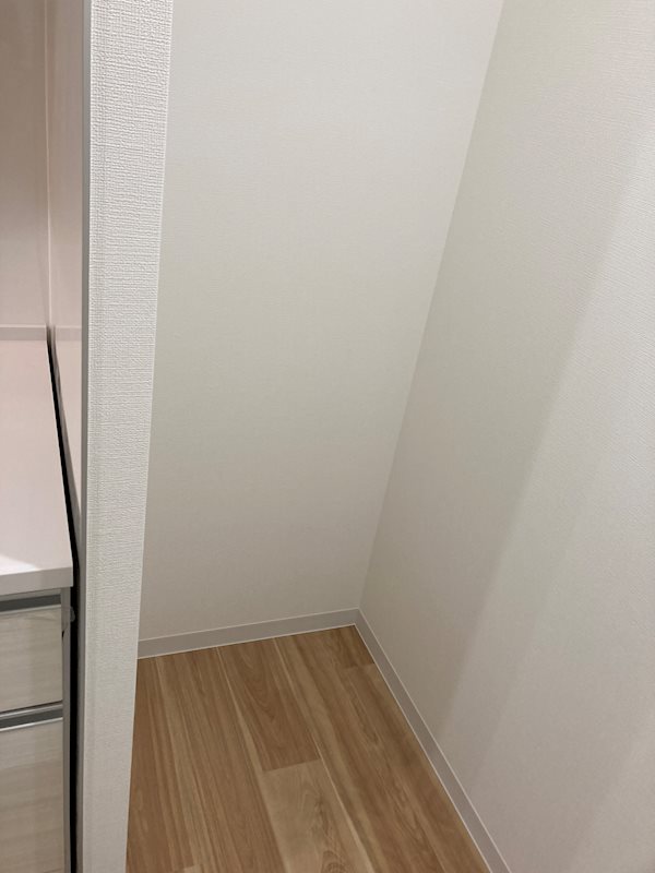 ラ フェリーチェ難波 他部屋・スペース