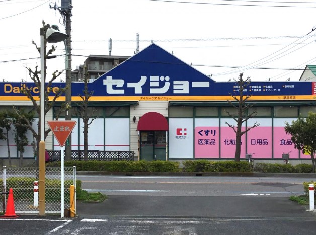 エステートピアドエル ドラッグストア：ﾃﾞｲﾘｰｹｱｾｲｼﾞｮｰ芝塚原店　1008m