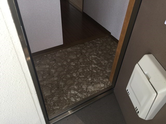 パピヨン565 現地写真