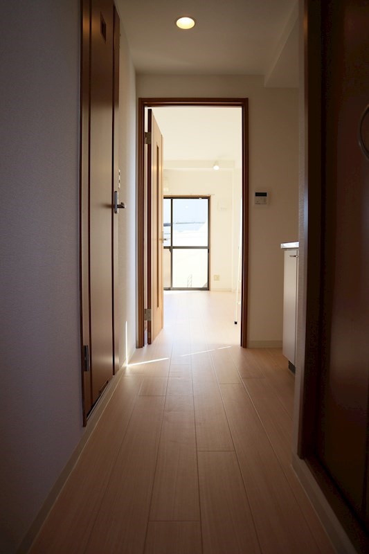 メゾンアイリス 現地写真（玄関）