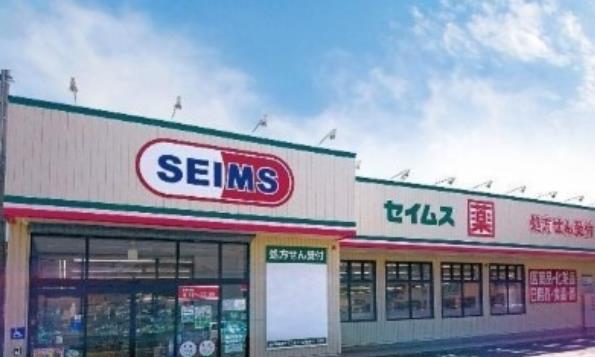 ネオハイブリッジ ドラッグストア：ﾄﾞﾗｯｸﾞｾｲﾑｽ 谷在家店　601m