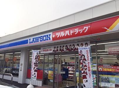 SAパームレジデンス ドラッグストア：ﾂﾙﾊﾄﾞﾗｯｸﾞ 杉並和田店　245m