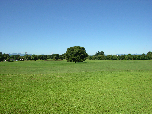 アマレット 公園：国営昭和記念公園　1750m
