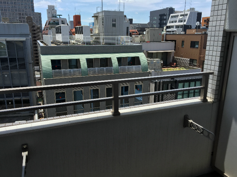 セイワパレス大手前西 眺望