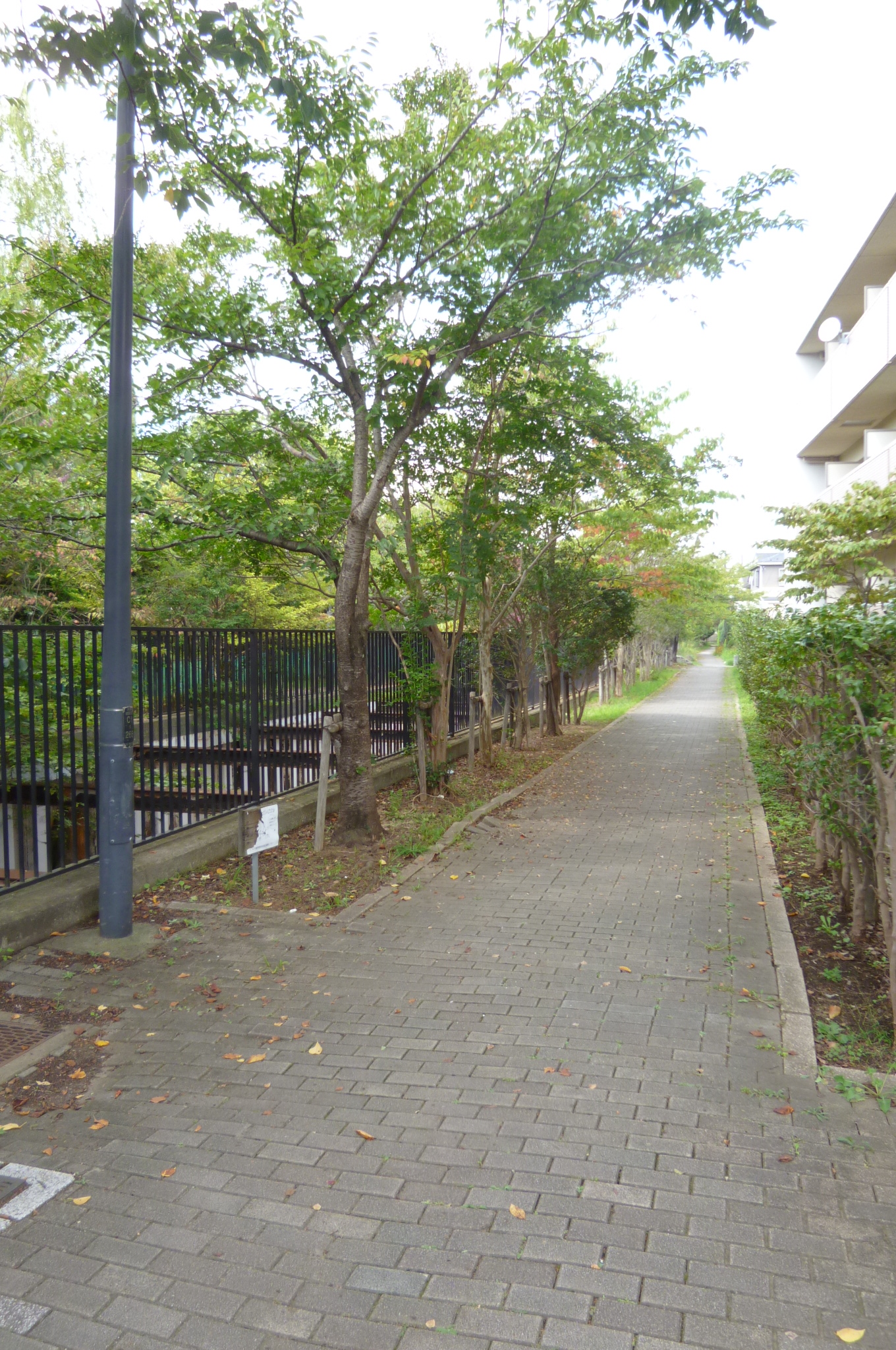 アラモードパレス 周辺の街並み：遊歩道　849m