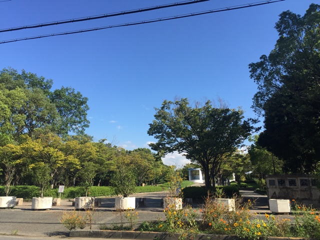 ベルナードサーモス 公園：中央公園　1296m