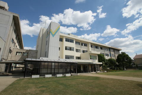 ベルドミール 小学校：寝屋川市立東小学校　491m