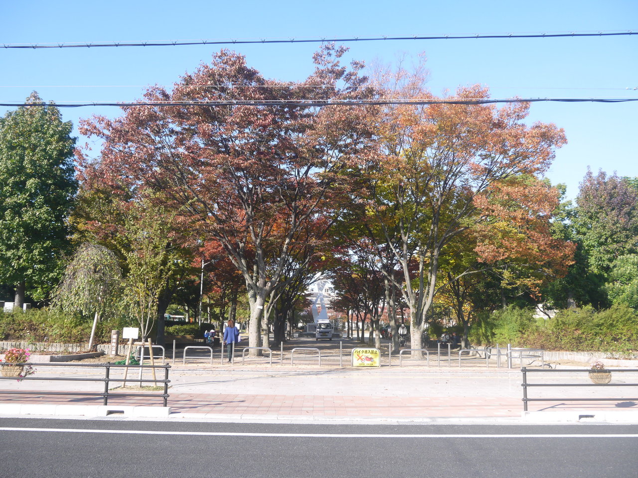 ベルドミール 公園：初本町公園　563m