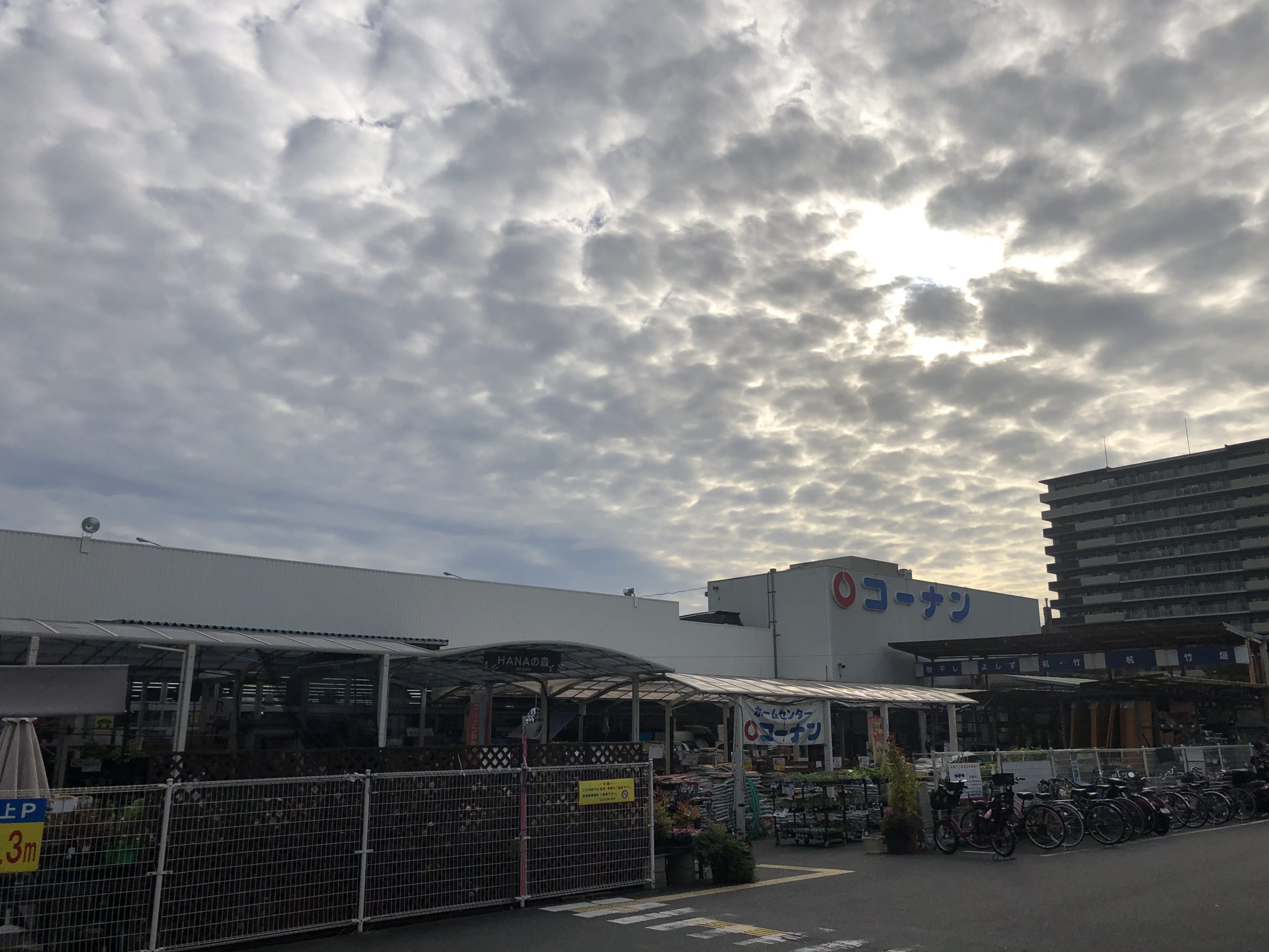 メゾン ノワール ホームセンター：ﾎーﾑｾﾝﾀーｺーﾅﾝ 伏見大手筋店　1048m