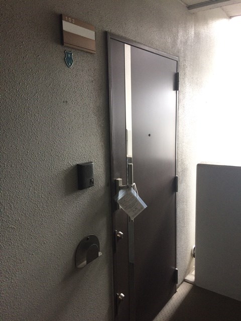 パインプロス おしゃれな外観扉