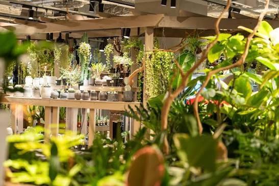 NORTH VILLAGE壱番館 ホームセンター：ガーデンズ うめきた　691m