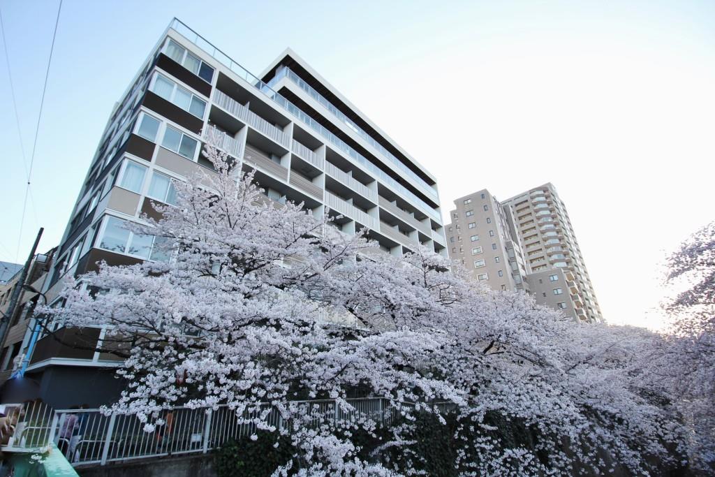 アールコート早稲田 外観