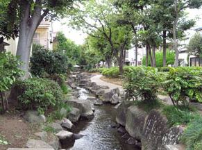 アルバグランデ 公園：見沼代親水公園　539m